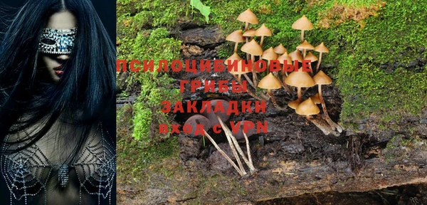 гашик Алексеевка