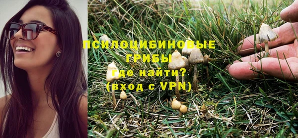 jwh Абаза