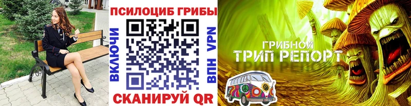 кракен   цена   Татарск  Галлюциногенные грибы Psilocybe 